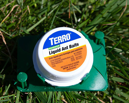 Terro 1806 Outdoor Liquid Ant Baits
