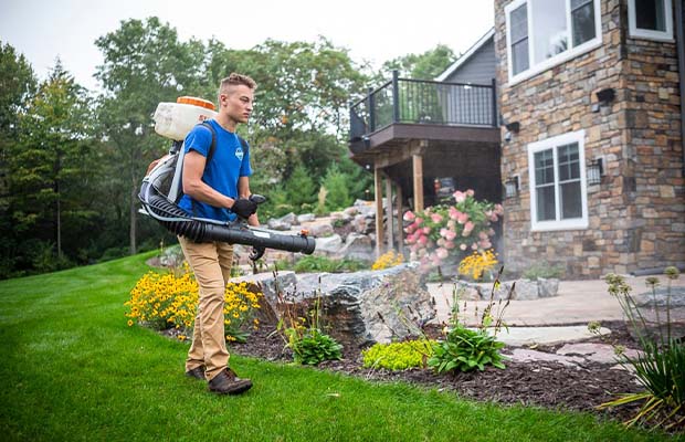10 Best Mosquito Repellent For Yard: Reviews & Buying Guide