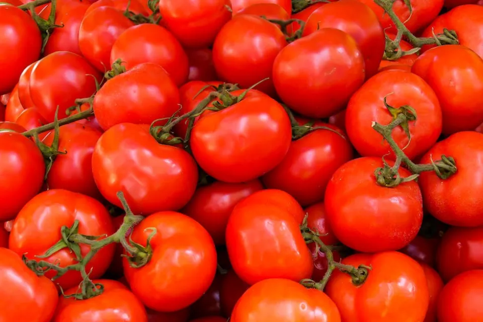 What Signs Show Tomatoes Have Gone Bad-6 Steps