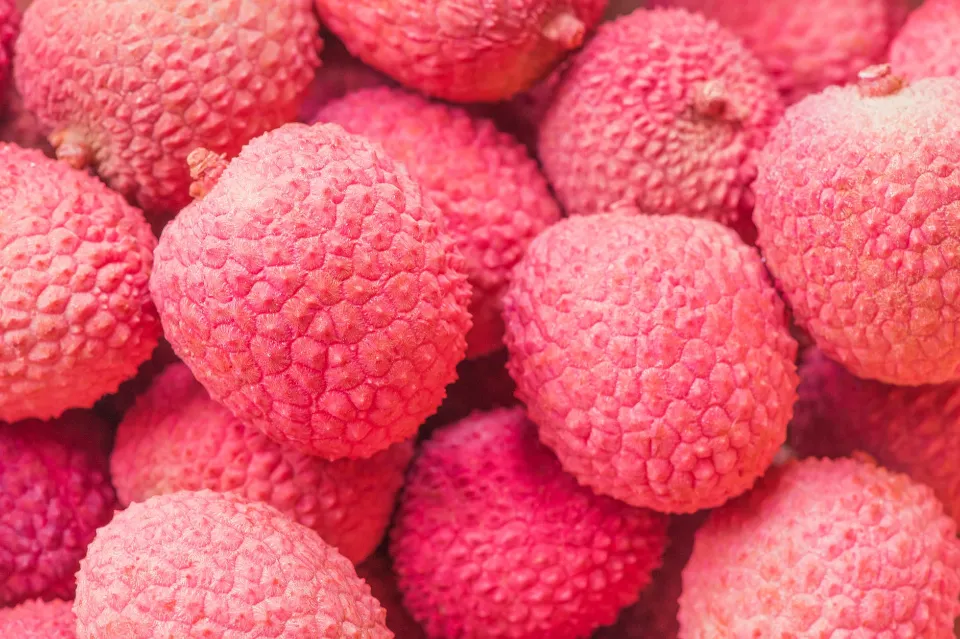 Lychee: A Wonderful Ingredient and Drink