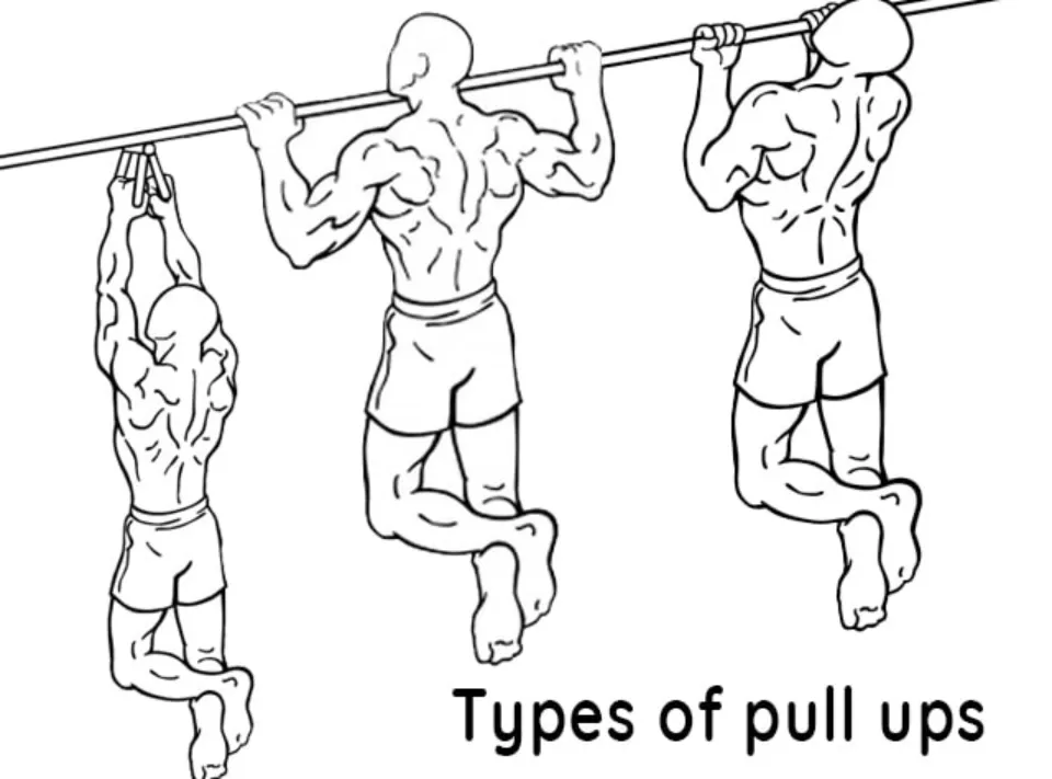 10 Types of Pull Up for Muscles Increase