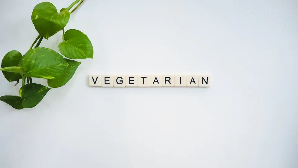 Eating Plan for a Person Who Follows a Vegetarian