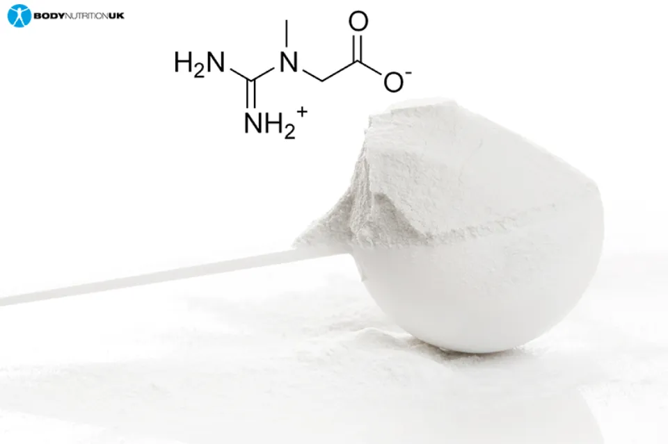 Pros and Cons of Creatine Monohydrate (2023 Answered)